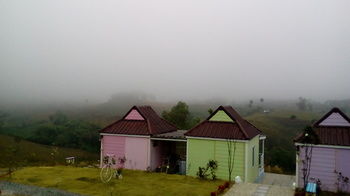 Lovely Farm 2*