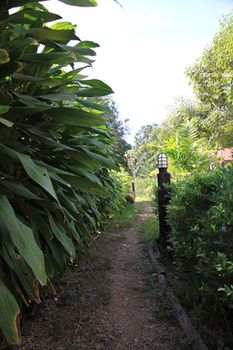 Mek Kiri River Kwai Resort 3*