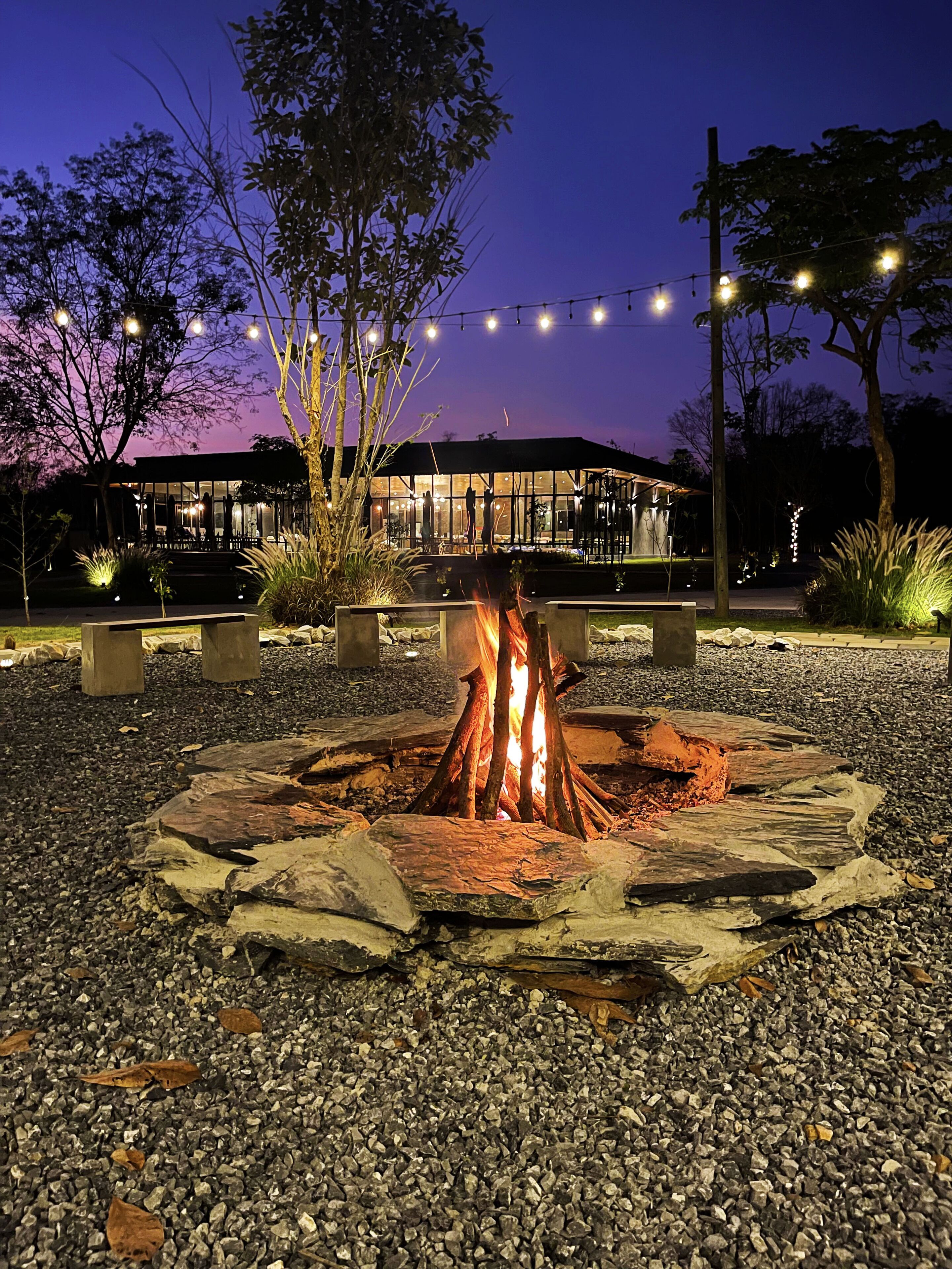 The Wild Khao Yai - Glamping 1*