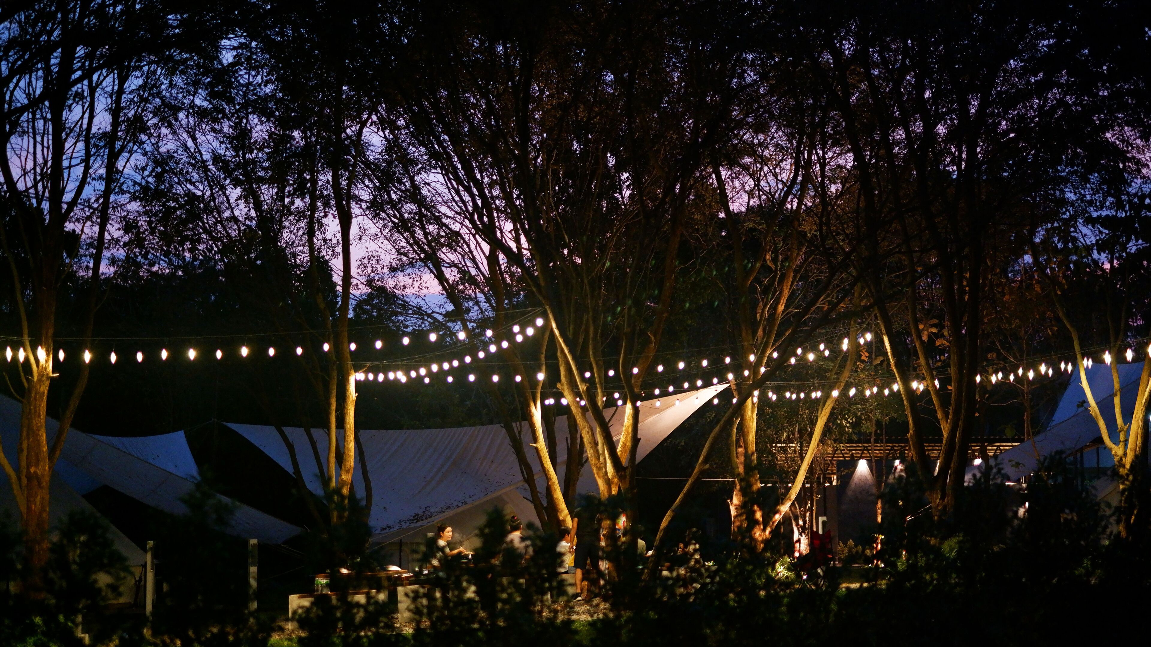The Wild Khao Yai - Glamping 1*