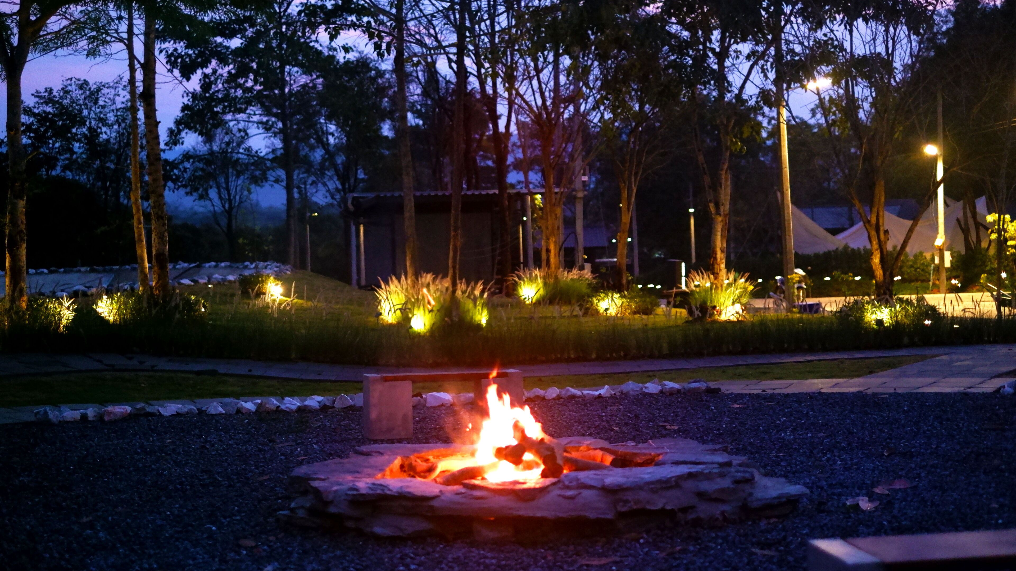 The Wild Khao Yai - Glamping 1*