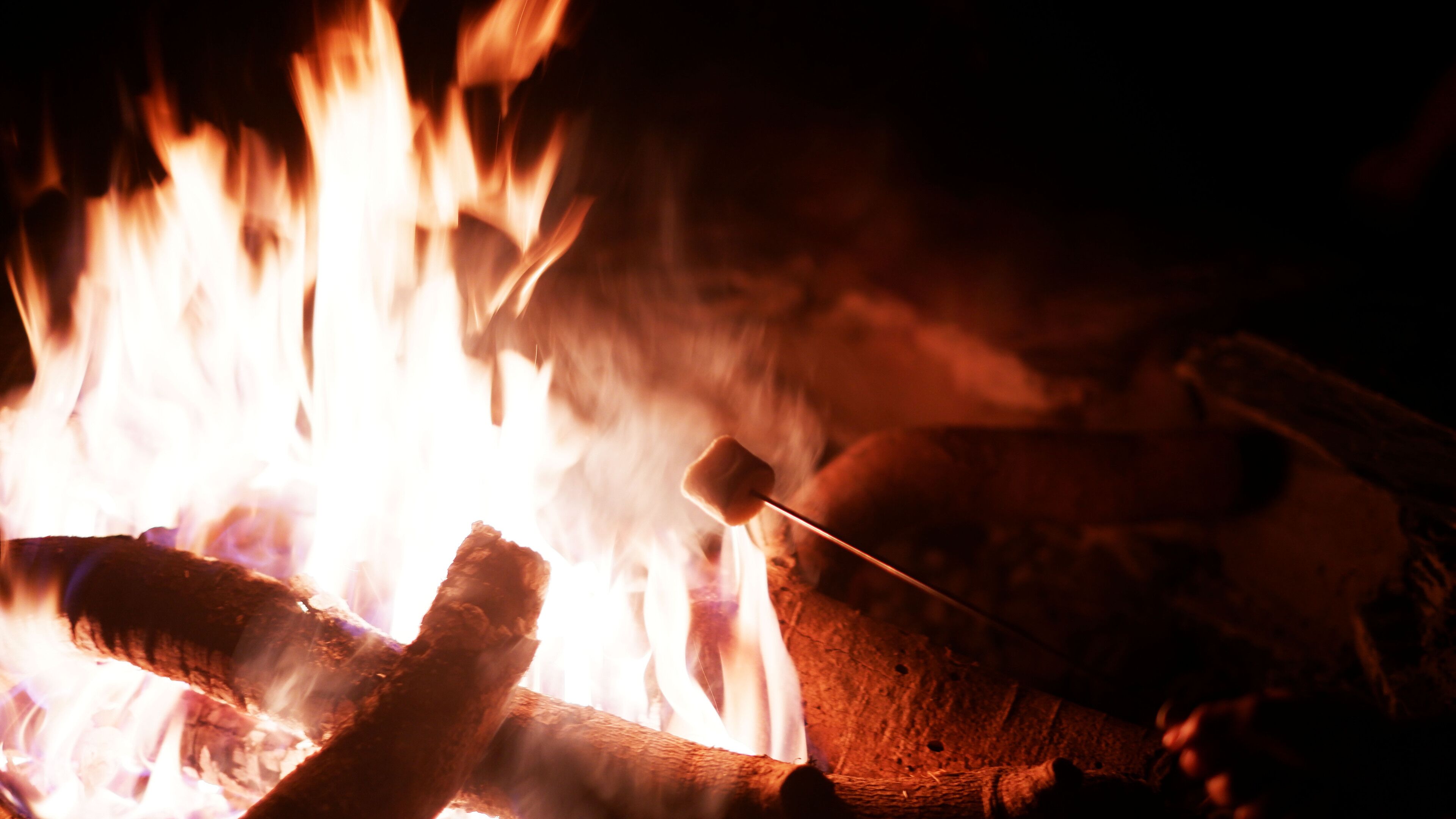 The Wild Khao Yai - Glamping 1*