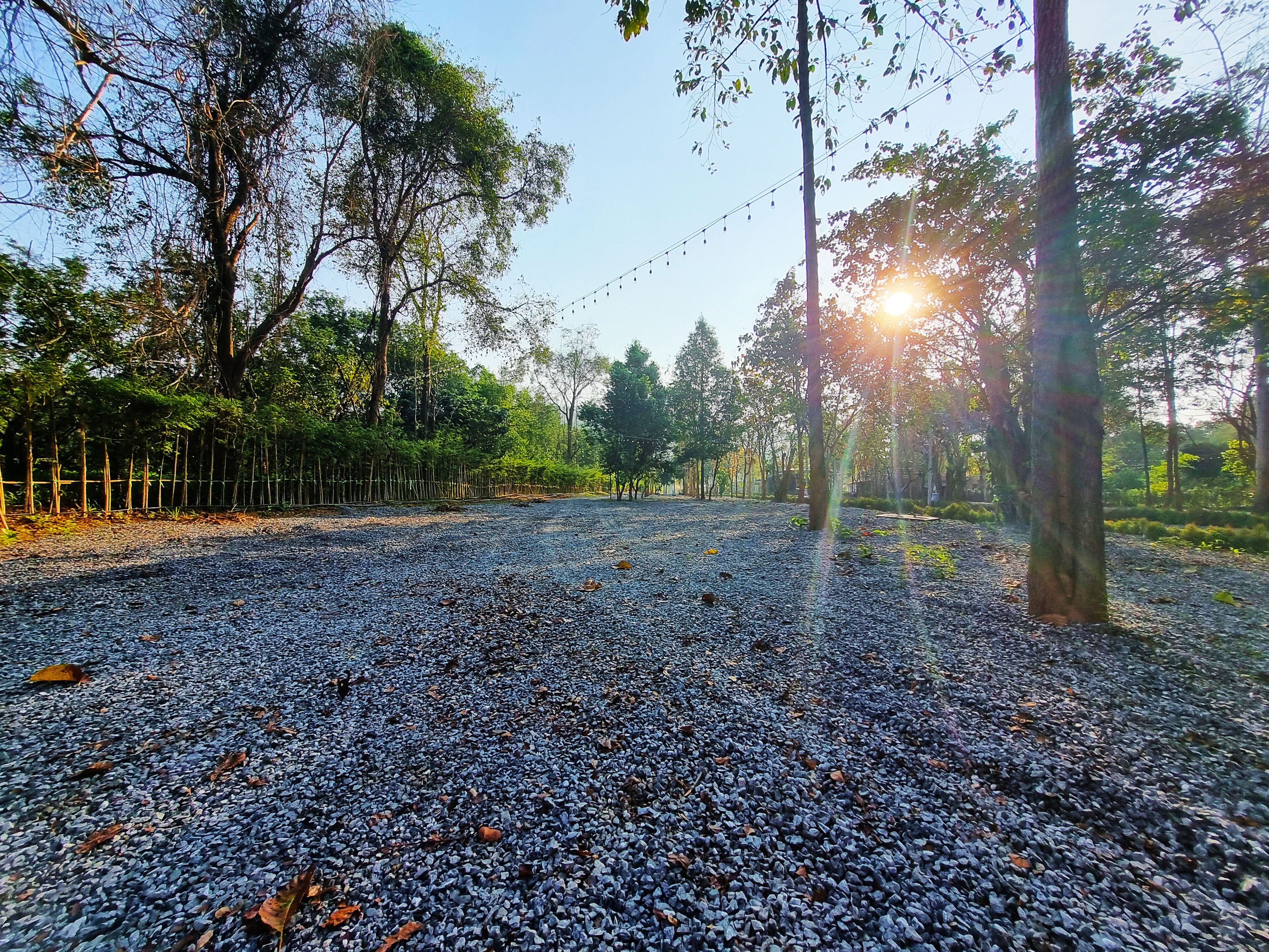 The Wild Khao Yai - Glamping 1*