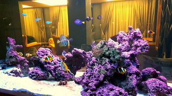 Lale Boutique Hotel 0*