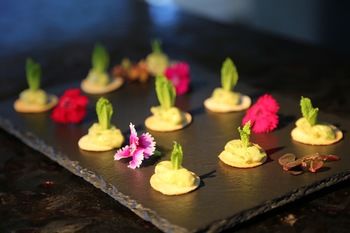 Atlanticview Cape Town Boutique Hotel 5*