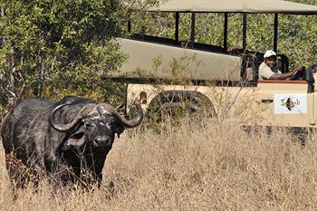 Imbali Safari Lodge 5*