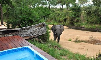 Imbali Safari Lodge 5*