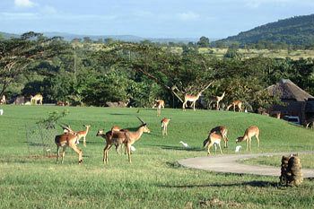 Kruger Park Lodge 4*