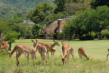 Kruger Park Lodge 4*