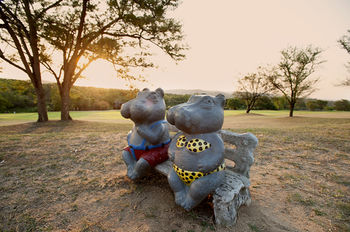 Kruger Park Lodge 4*