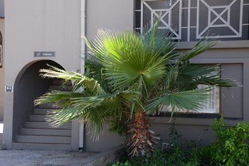 Elephant Springs Hotel 3*