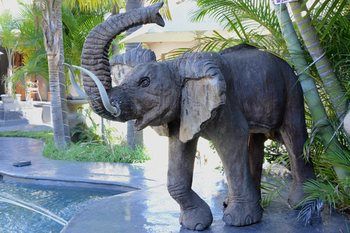 Elephant Springs Hotel 3*