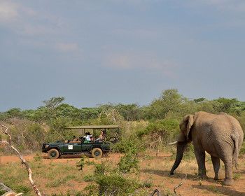 Mabula Game Lodge 0*