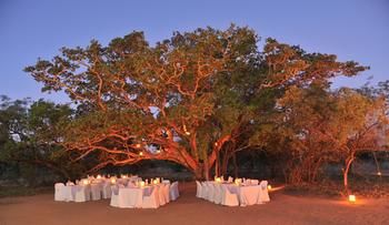 Mabula Game Lodge 0*