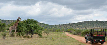 Mabula Game Lodge 0*