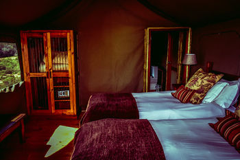 Buffelsdrift Game Lodge 0*