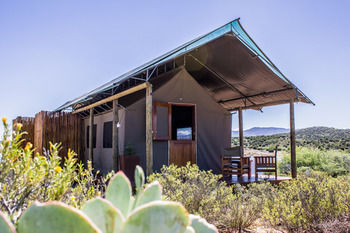 Buffelsdrift Game Lodge 0*