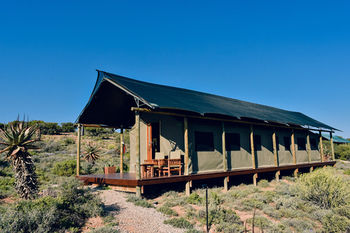 Buffelsdrift Game Lodge 0*