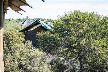 Buffelsdrift Game Lodge 0*