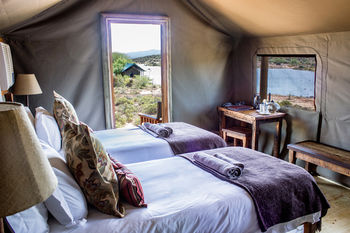 Buffelsdrift Game Lodge 0*