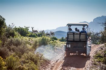 Buffelsdrift Game Lodge 0*