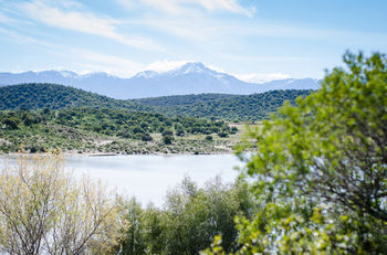 Buffelsdrift Game Lodge 0*