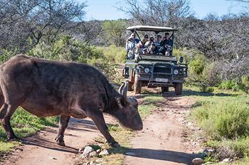 Buffelsdrift Game Lodge 0*
