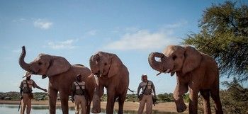 Buffelsdrift Game Lodge 0*