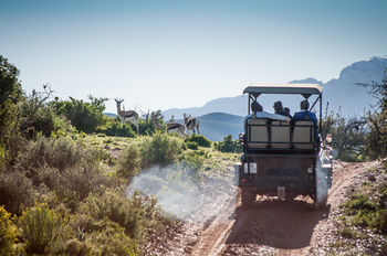 Buffelsdrift Game Lodge 0*