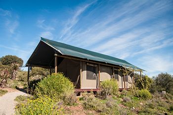 Buffelsdrift Game Lodge 0*