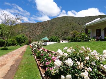 De Oude Meul Country Lodge 0*