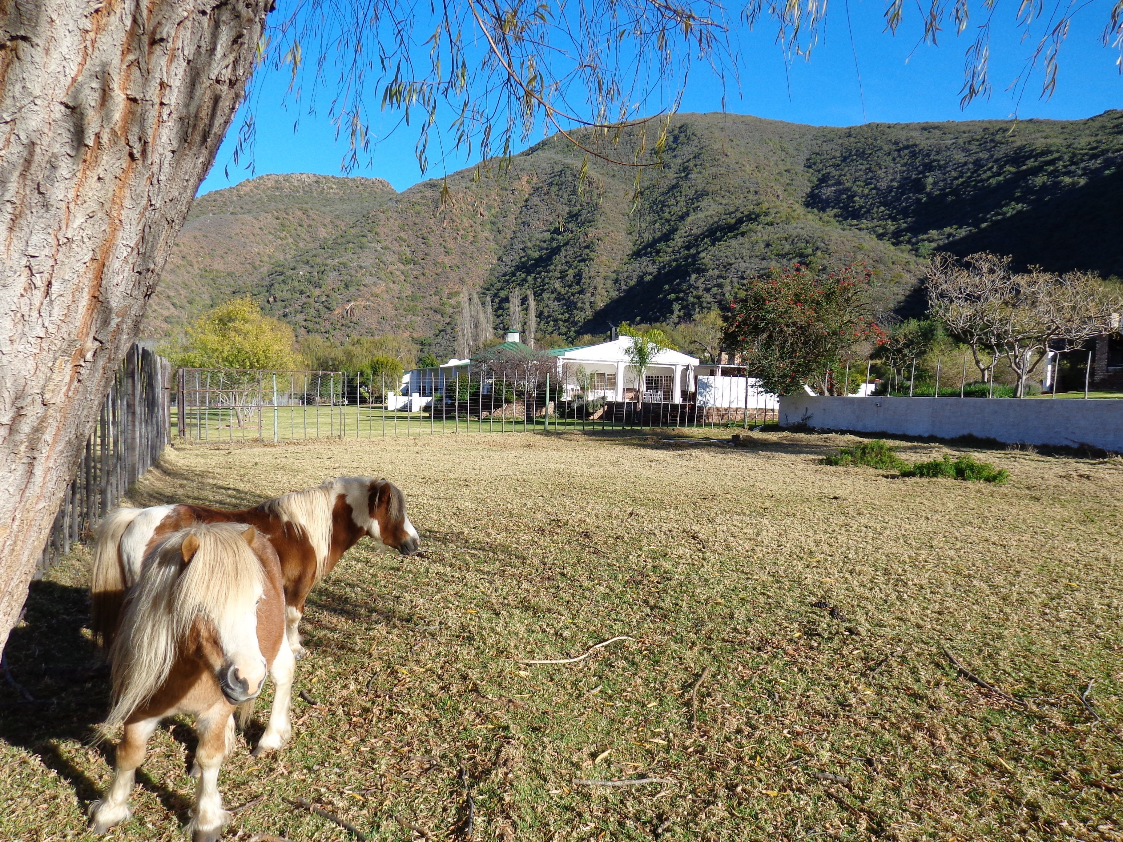 De Oude Meul Country Lodge 0*