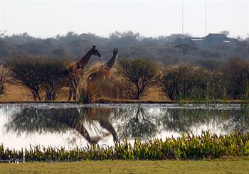 Ditholo Game Lodge 0*