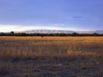 Ditholo Game Lodge 0*