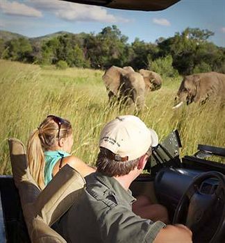 Shepherd's Tree Game Lodge 0*