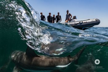 Blue Marlin All-Inclusive Seascape by Dream Resorts 3*