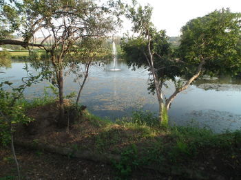 Lanseria Country Estate 0*