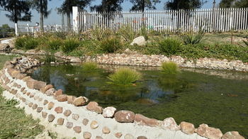 Lanseria Country Estate 0*