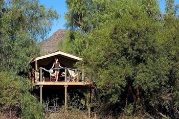 Mount Camdeboo Private Game Reserve by NEWMARK 0*