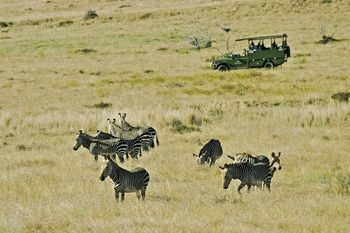 Mount Camdeboo Private Game Reserve by NEWMARK 0*