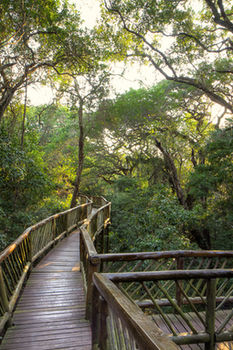 Malkoha Lake St. Lucia 0*