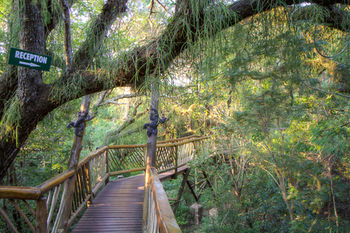 Malkoha Lake St. Lucia 0*