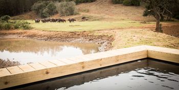 Botlierskop Bush Villas 0*