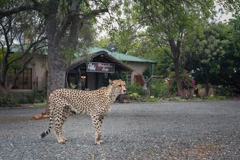 Tshukudu Game Lodge 0*