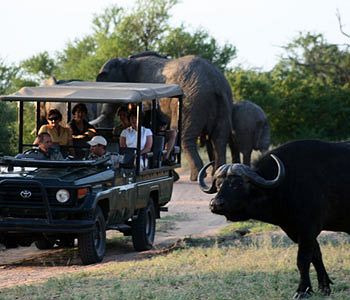 Tshukudu Game Lodge 0*