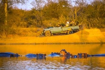 Tshukudu Game Lodge 0*