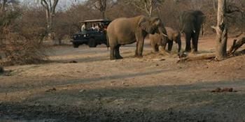 Tshukudu Game Lodge 0*