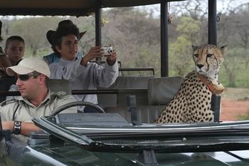 Tshukudu Game Lodge 0*