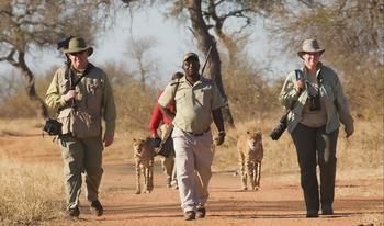 Tshukudu Game Lodge 0*