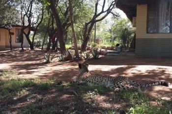 Tshukudu Game Lodge 0*